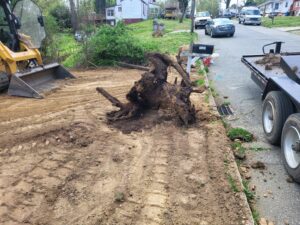 Landscaping 1
